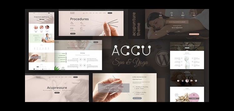 Item cover for download Accu - Healthcare, Massage WordPress Theme