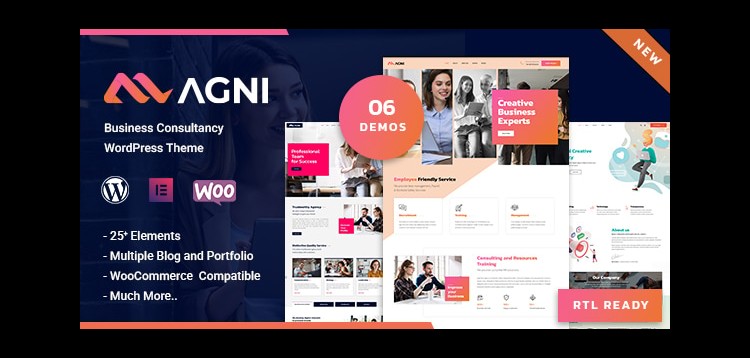 Item cover for download Agni - Consulting Business