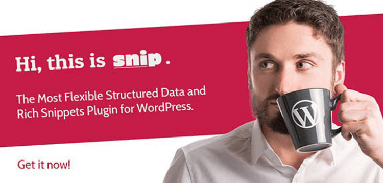 Item cover for download SNIP: Structured Data Plugin for WordPress
