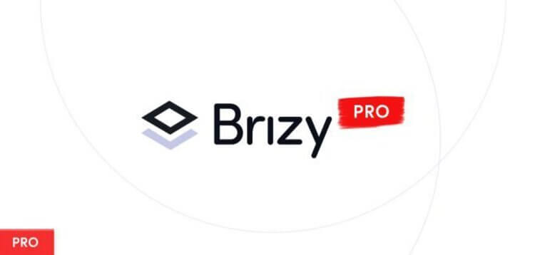 Item cover for download Brizy Pro