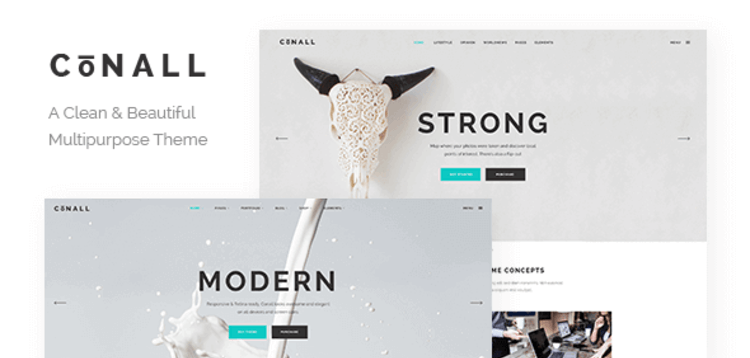 Item cover for download CONALL – A CLEAN & BEAUTIFUL MULTIPURPOSE THEME