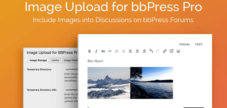 Item cover for download AGS Image Upload for BBPress Pro