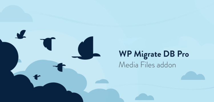 Item cover for download WP MIGRATE DB PRO - MEDIA FILES ADDON
