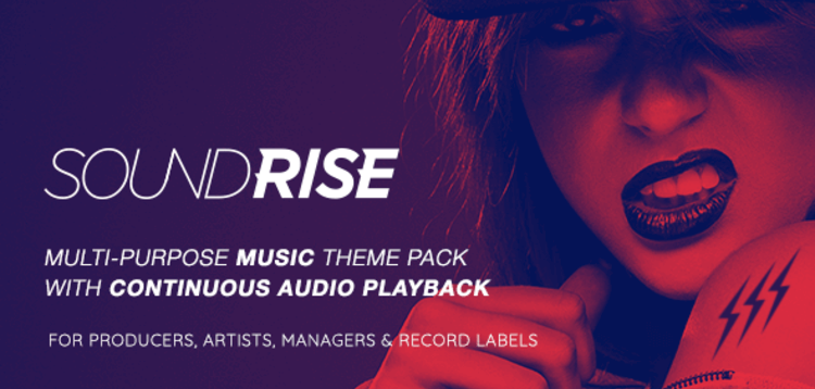 Item cover for download SOUNDRISE – ARTISTS, PRODUCERS AND RECORD LABELS WORDPRESS THEME
