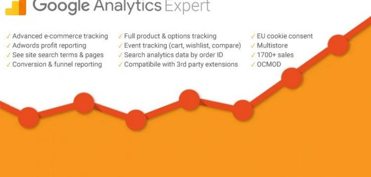 Item cover for download Google Analytics Expert - Complete E-commerce Analytics Tracking