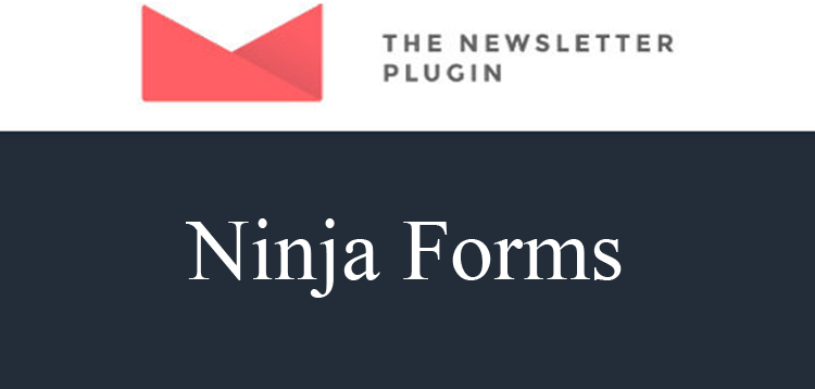 Item cover for download Newsletter Ninja Forms Integration