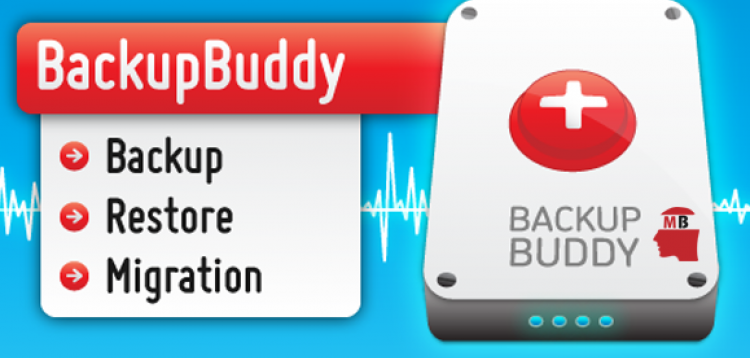 Item cover for download iThemes Solid Backups (BackupBuddy)