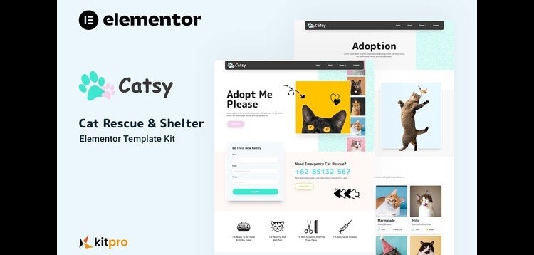 Item cover for download Catsy - Cat Rescue & Shelter Elementor Template Kit