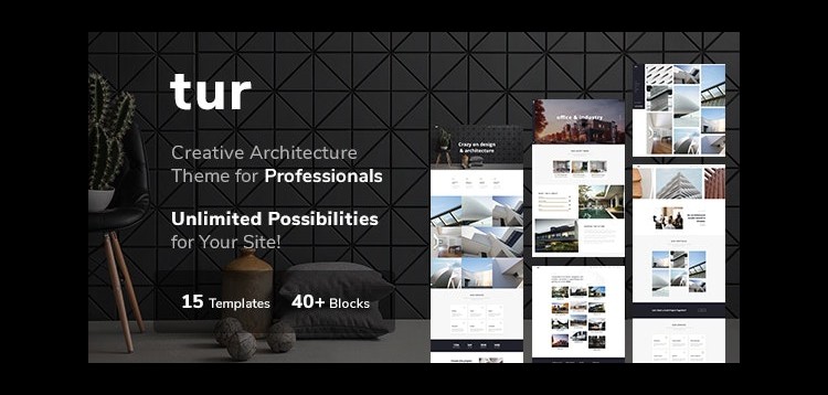 Item cover for download Tur Architecture