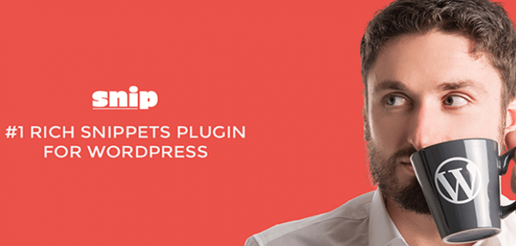 Item cover for download Rich Snippets WordPress Plugin